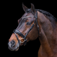 Bridon Imperial Riding Olympia Negro plata Bridon Imperial Riding Olympia Negro plata
