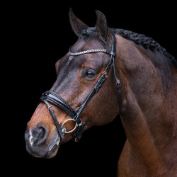 Bridon Imperial Riding Olympia Bridon Imperial Riding Olympia