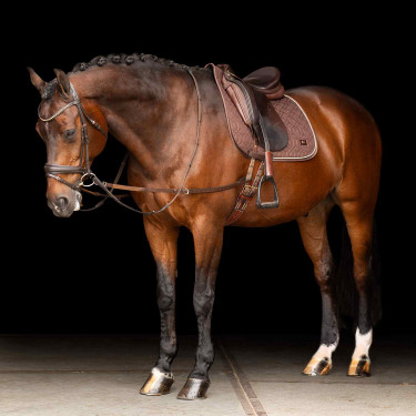 Enrüenamiento elástico Imperial Riding Castaño Marrón