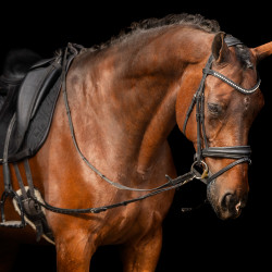 Enrüenamiento elástico Imperial Riding Enrüenamiento elástico Imperial Riding