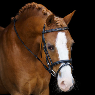 Brida shetland Imperial Riding Stormy Brida shetland Imperial Riding Stormy