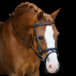 Brida shetland Imperial Riding Stormy