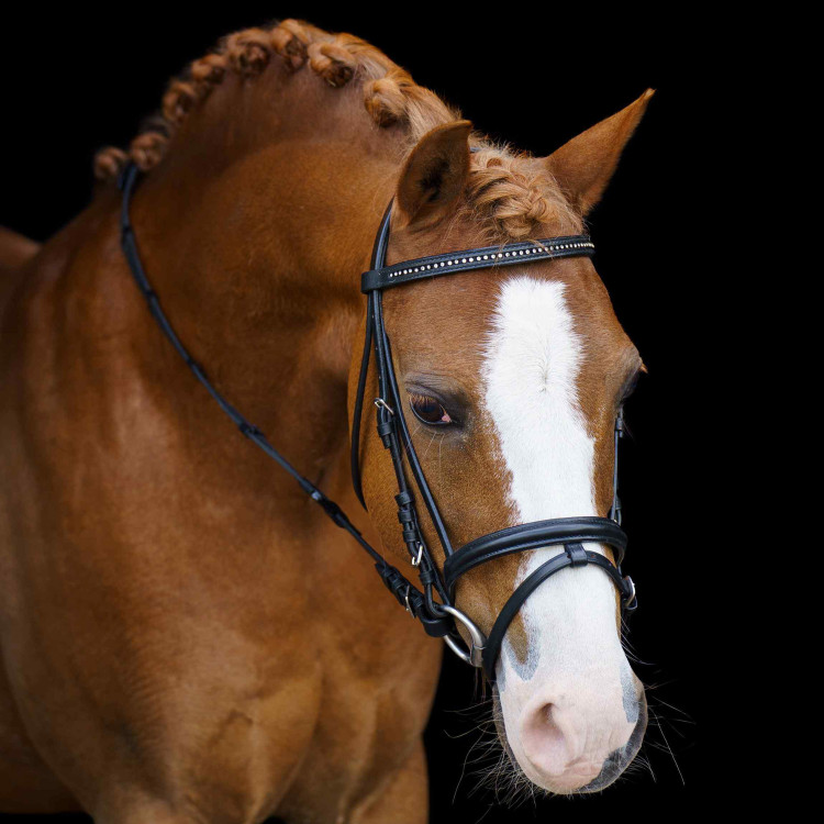 Brida shetland Imperial Riding Stormy
