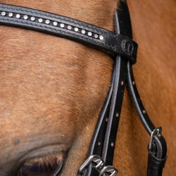 Brida shetland Imperial Riding Stormy Brida shetland Imperial Riding Stormy