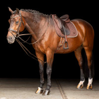 Riendas alemanas SH Imperial Riding Core Castaño Marrón