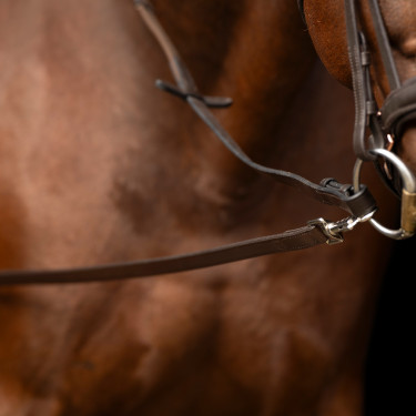 Enrénamiento Imperial Riding Core Castaño Marrón