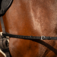 Enrénamiento Imperial Riding Core Castaño Marrón Enrénamiento Imperial Riding Core Castaño Marrón