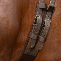 Cinch de adiestramiento Imperial Riding Core Castaño Marrón