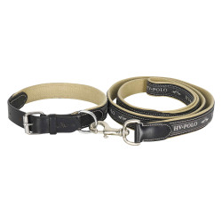 Collar de perro HV Polo Iconic Collar de perro HV Polo Iconic