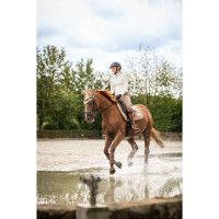 Bonete antimoscas Lavender Bay HKM Gris pardo Marrón