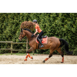 Vendajes de polo Edinburgh HKM Vendajes de polo Edinburgh HKM