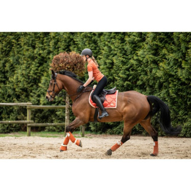 Vendajes de polo Edinburgh HKM Vendajes de polo Edinburgh HKM