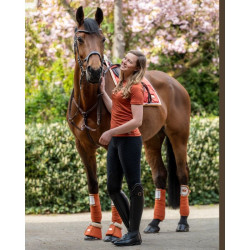 Vendajes de polo Edinburgh HKM Vendajes de polo Edinburgh HKM
