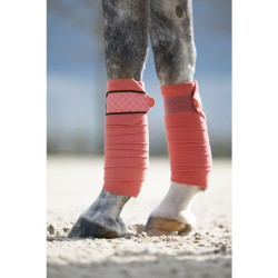 Bandas de polo Rosewood HKM Oxido Marrón