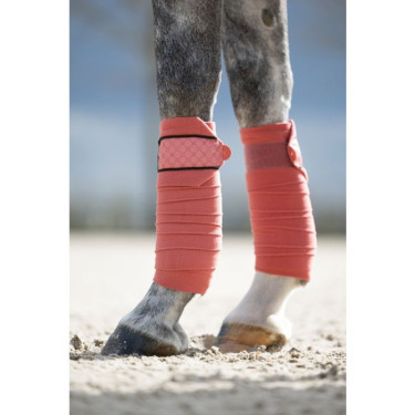 Bandas de polo Rosewood HKM Oxido Marrón