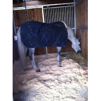 Alfombra Major - Suelo de boxe Alfombra Major - Suelo de boxe