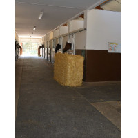 Sol de douche Magellan