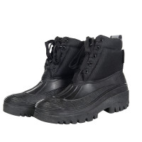 new Negro