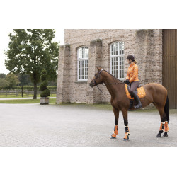Alfombra Allure Caballo HKM Alfombra Allure Caballo HKM