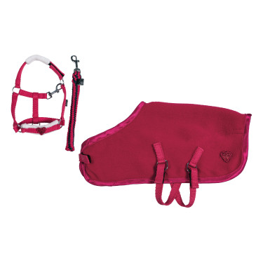 Set de iniciación Cuddle Pony HKM