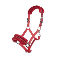 new Roja