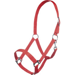 new Roja new Roja