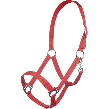 new Roja new Roja