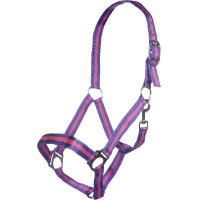 Cabezada Budapest HKM Lilas / rosa Violeta