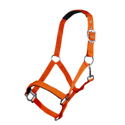 new Naranja