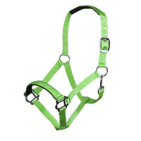 new Fluo verde