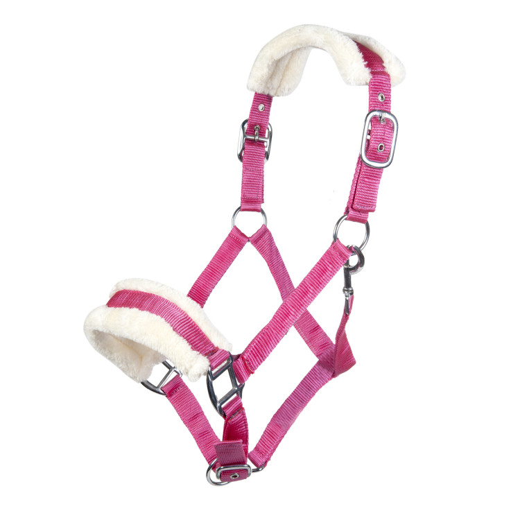 Cabezada Bischofshofen acolchado Teddy HKM