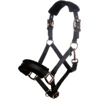 new Negro / oro rosa new Negro / oro rosa