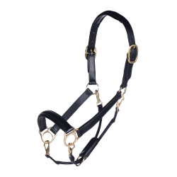 Cabezada de cuero Gold HKM