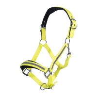 new Amarillo fluorescente
