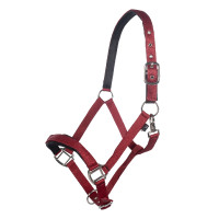 new Roja