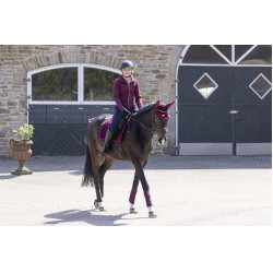 Chaqueta softshell Lily HKM Rojo oscuro