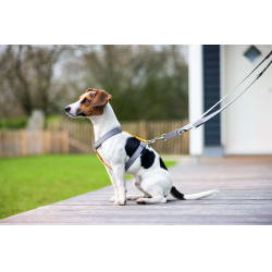 Arnés para perro Anam Cara Basic nylon HKM Arnés para perro Anam Cara Basic nylon HKM
