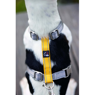 Arnés para perro Anam Cara Basic nylon HKM Arnés para perro Anam Cara Basic nylon HKM