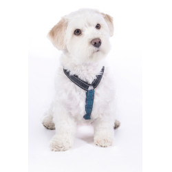 Arnés para perro Anam Cara Basic nylon HKM Azul oscuro / petróleo