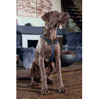 Arnés para perro Anam Cara Basic nylon HKM Azul oscuro / petróleo