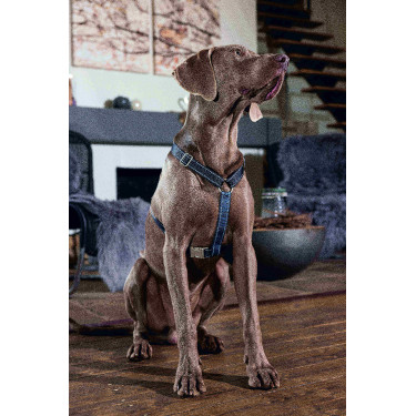 Arnés para perro Anam Cara Basic nylon HKM Azul oscuro / petróleo