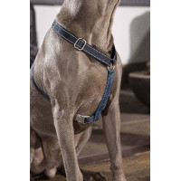 Arnés para perro Anam Cara Basic nylon HKM Topo / dorado amarillo Gris