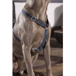 Arnés para perro Anam Cara Basic nylon HKM Azul oscuro / petróleo
