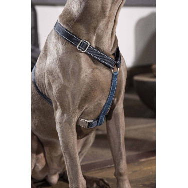 Arnés para perro Anam Cara Basic nylon HKM Azul oscuro / petróleo