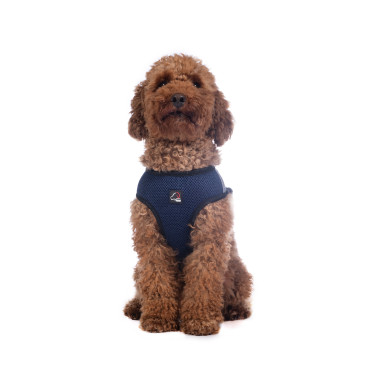 Arnés para perro Buddy Soft HKM Arnés para perro Buddy Soft HKM