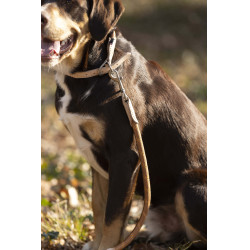 Correa de adiestramiento para perro Anam Cara cuerda HKM Brandy Marrón