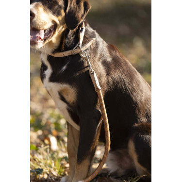 Correa de adiestramiento para perro Anam Cara cuerda HKM Brandy Marrón