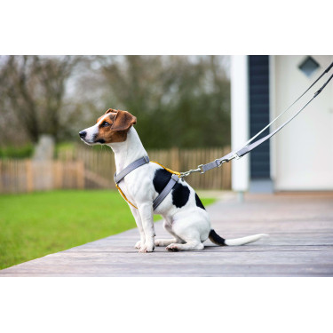 Correa de adiestramiento para perro Anam Cara nylon HKM Gris pardo Marrón