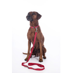 Correa de adiestramiento para perro Anam Cara nylon HKM Correa de adiestramiento para perro Anam Cara nylon HKM