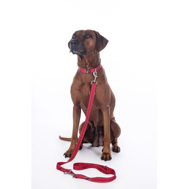 Correa de adiestramiento para perro Anam Cara nylon HKM Correa de adiestramiento para perro Anam Cara nylon HKM